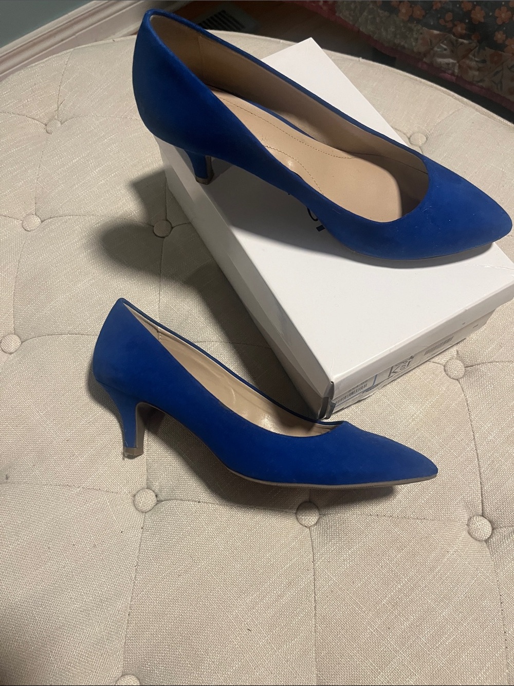 Classic Pointed-Toe Blue Suede Kitten Heel Pumps Sz 9